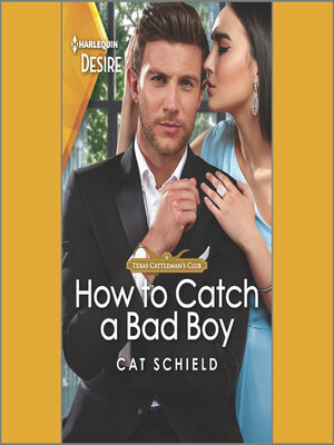 cover image of How to Catch a Bad Boy